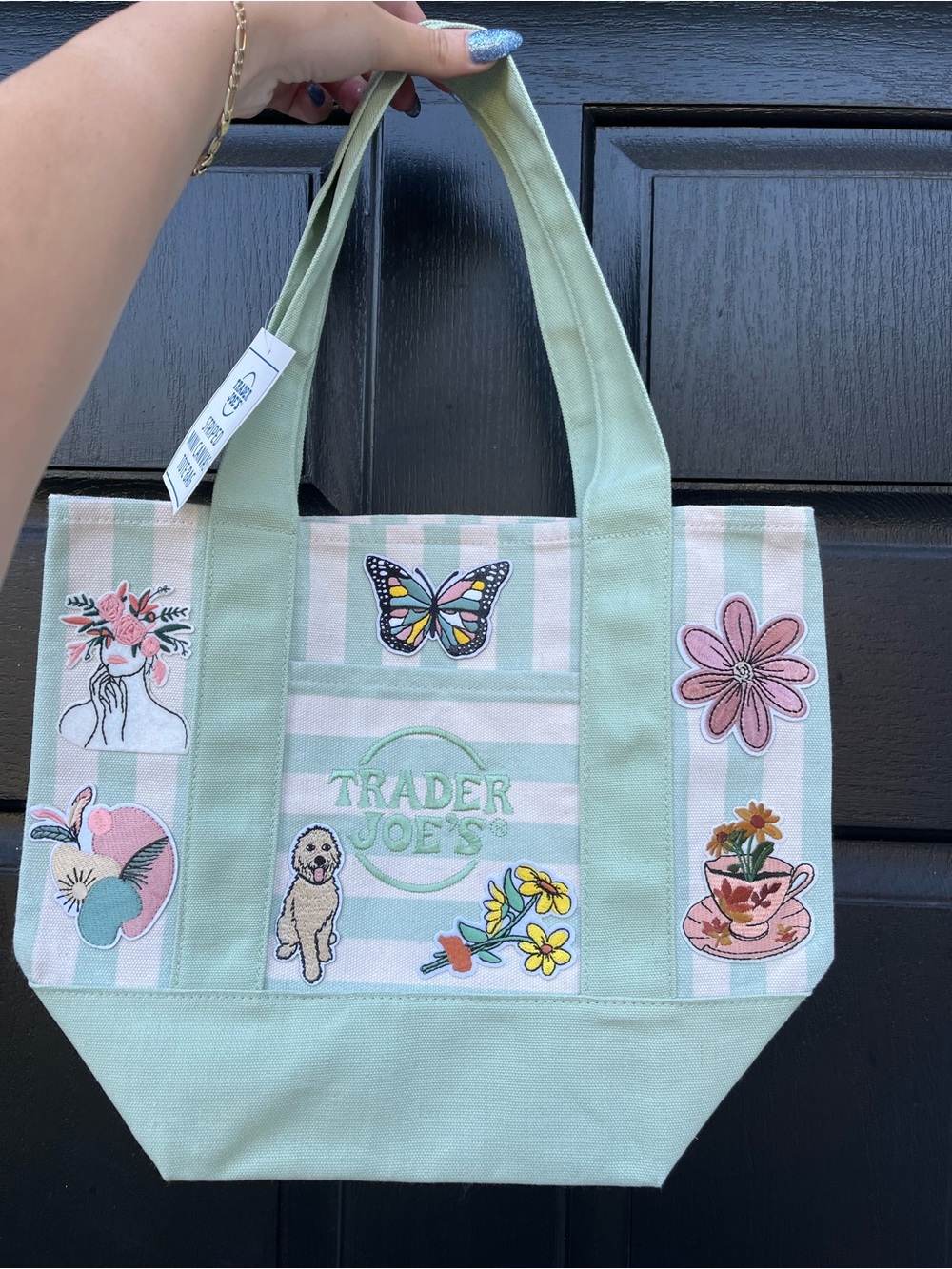 🌿 Trader Joe’s Seafoam Green Striped "Whimsical Cottagecore" Mini Tote Bag 🌼 🦋